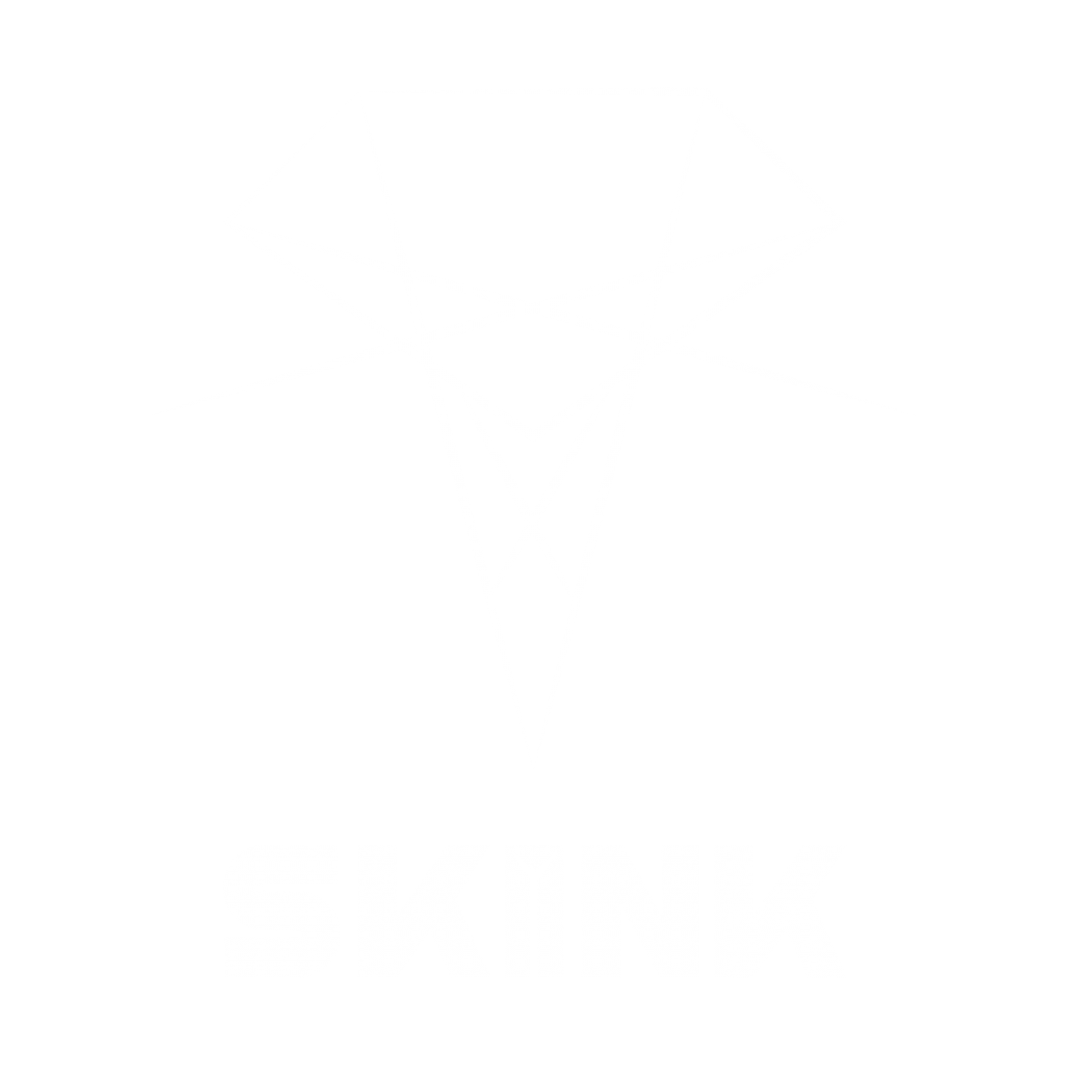 SKINK Records