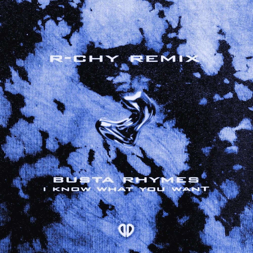 Busta Rhymes - I Know What You Want (R-CHY Remix) cover art